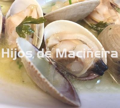 ALMEJA BABOSA FRESCA - Imagen 1