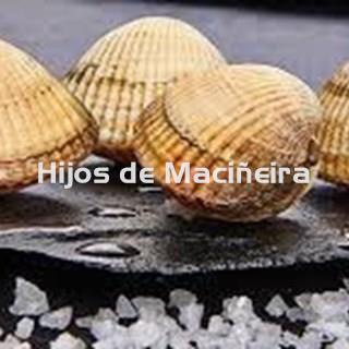 BERBERECHO FRESCO EXTRA - Imagen 1