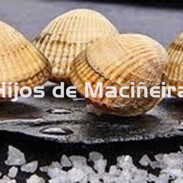 BERBERECHO FRESCO EXTRA - Imagen 1