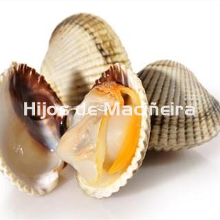 BERBERECHO GORDO EXTRA - Imagen 1