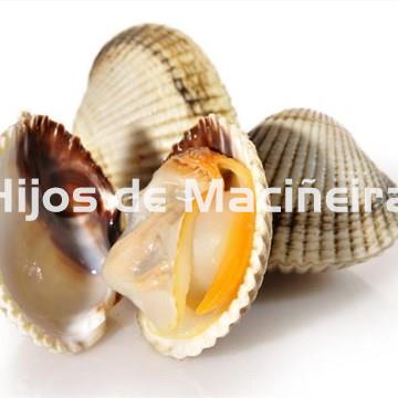 BERBERECHO GORDO EXTRA - Imagen 1