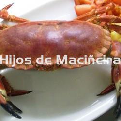 BUEY DE MAR FRESCO - Imagen 1