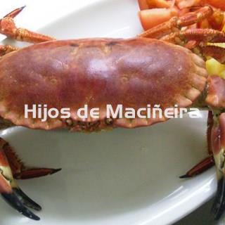 BUEY DE MAR FRESCO - Imagen 1