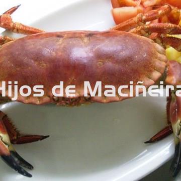 BUEY DE MAR FRESCO - Imagen 1