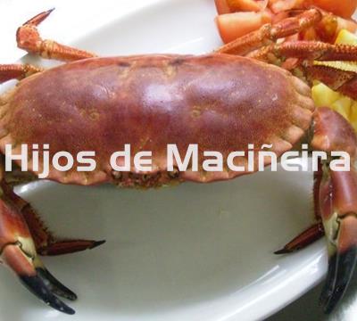 BUEY DE MAR FRESCO - Imagen 1