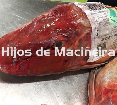 ESCACHO/RUBIO - Imagen 1