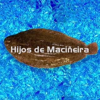 LENGUADO FRESCO - Imagen 1