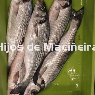 LUBINA FRESCA - Imagen 2