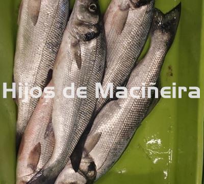 LUBINA FRESCA - Imagen 2