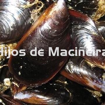 MEJILLÓN GALLEGO FRESCO (EXTRA) - Imagen 2