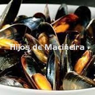 MEJILLÓN GALLEGO FRESCO - Imagen 1