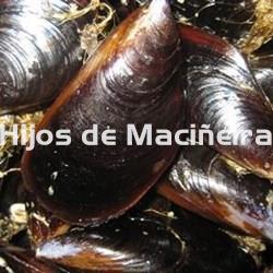 MEJILLÓN GALLEGO FRESCO - Imagen 2