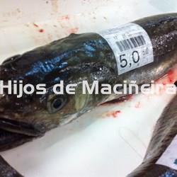 MERLUZA GRANDE FRESCA (4-5KG) - Imagen 1