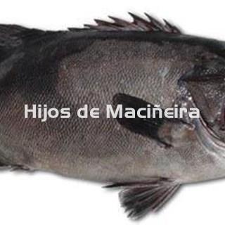 MERO FRESCO - Imagen 1