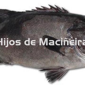 MERO FRESCO - Imagen 1