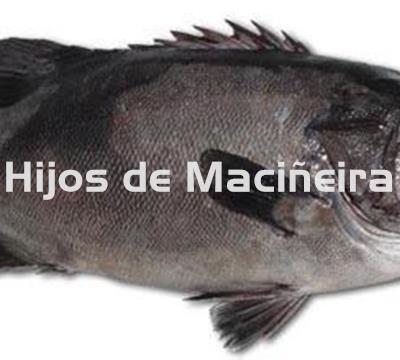 MERO FRESCO - Imagen 1