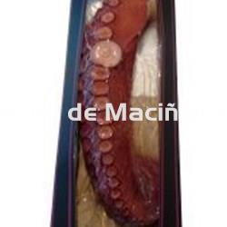 Pata de Pulpo Gigante - Imagen 1