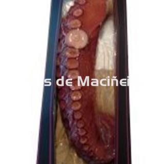 Pata de Pulpo Gigante - Imagen 1