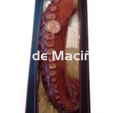 Pata de Pulpo Gigante - Imagen 1