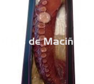 Pata de Pulpo Gigante - Imagen 1