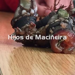 PERCEBE GALLEGO FRESCO - Imagen 2