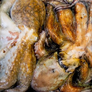 Pescado Congelado