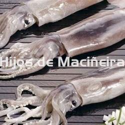 POTA FRESCA - Imagen 1