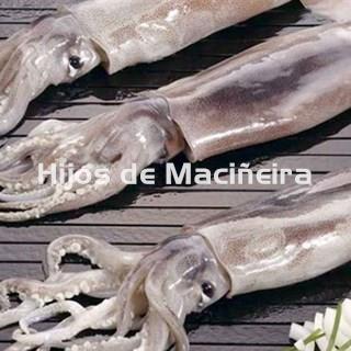 POTA FRESCA - Imagen 1