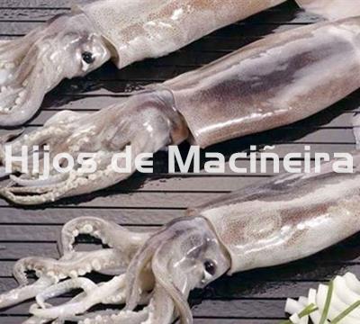 POTA FRESCA - Imagen 1
