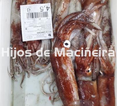 POTA FRESCA - Imagen 2