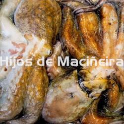 PULPO GALLEGO ENTERO CONGELADO MEDIANO (2PIEZAS) - Imagen 1