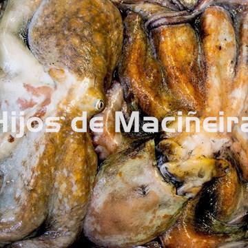 PULPO GALLEGO ENTERO CONGELADO MEDIANO (2PIEZAS) - Imagen 1