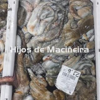 PULPO GALLEGO ENTERO CONGELADO MEDIANO (2PIEZAS) - Imagen 2