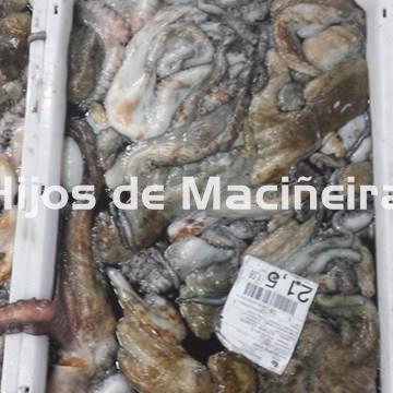 PULPO GALLEGO ENTERO CONGELADO MEDIANO (2PIEZAS) - Imagen 2