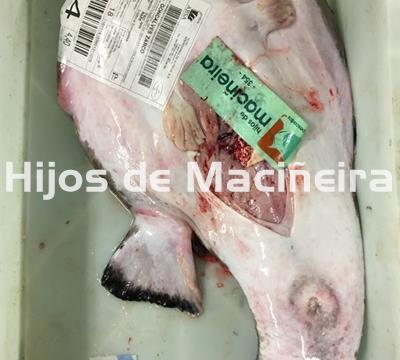 RAPE BLANCO FRESCO - Imagen 1