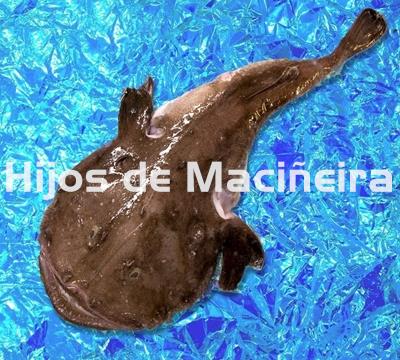 RAPE NEGRO FRESCO - Imagen 1