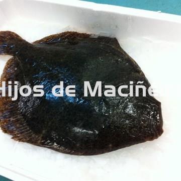 RODABALLO FRESCO - Imagen 1