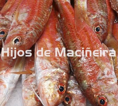 SALMONETE FRESCO - Imagen 2